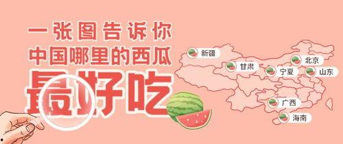 朝阳吃瓜群众一枚