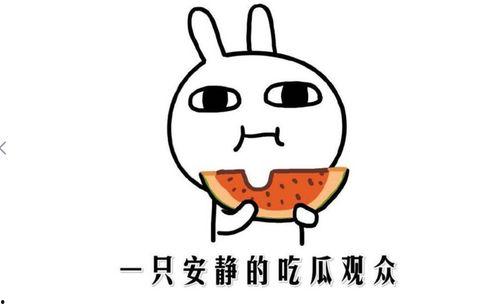 吃瓜是什么意思,网络热词背后的文化现象