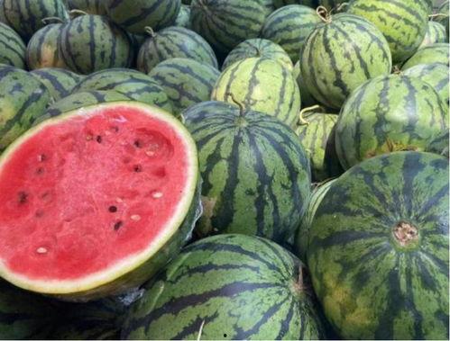 网红大瓜下载 52爆料吃瓜网,52爆料吃瓜网独家爆料，带你领略娱乐圈风云变幻